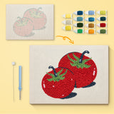 Punch Needle Tomates Rouges